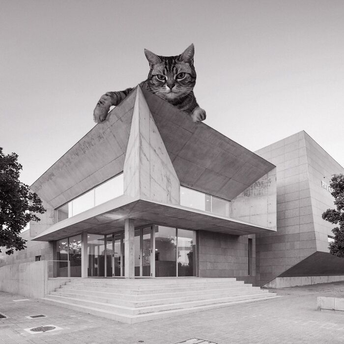 Atlantic Pavilion Sports Center, Valdemar Coutinho, 2018, Viana Do Castelo, Portugal