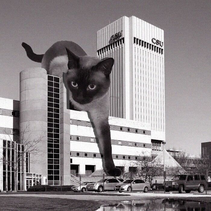 James Rhodes Tower, Cleveland State University, Rode, Guenther, And Bonebrake, 1971, Cleveland, Ohio, United States