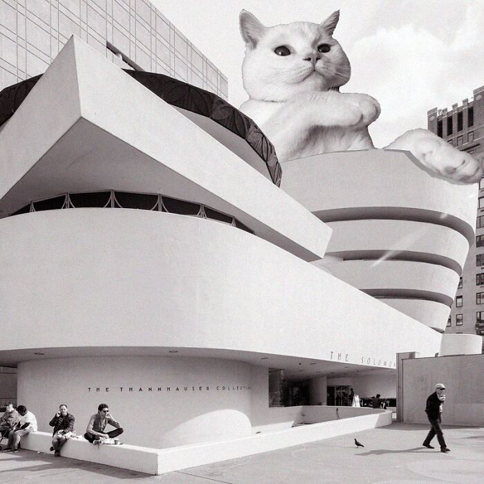 Solomon R. Guggenheim Museum, Frank Lloyd Wright, 1959, New York, New York