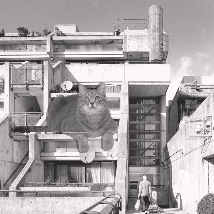 Alexandra And Ainsworth Road Estate, Neave Brown, 1978, London, England