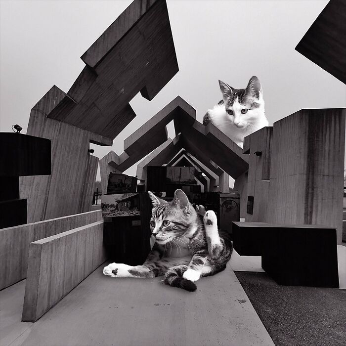 Mausoleum Of The Martyrdom Of Polish Villages, Nizio Design International, 2016, Michniów, Poland