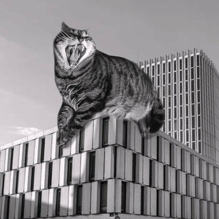 Palais De Justice De Lille, Jean Willerval And André Lagarde, 1968, Lille, France