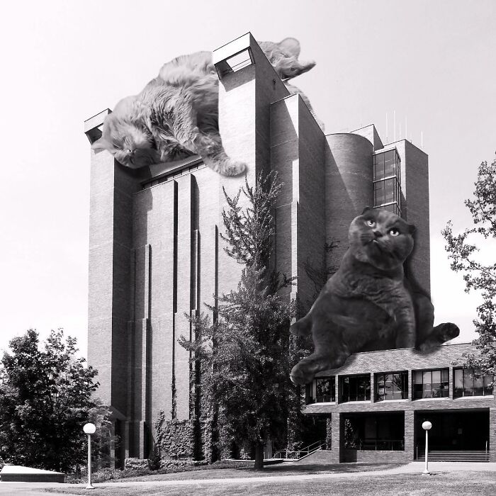 Bradfield Hall, Ulrich Franzen, 1969, Cornell University, Ithaca, NY