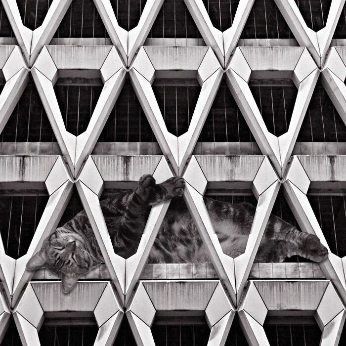 Wellbeck Street Car Park, Michael Blampied And Partners, 1970, Westminster, London