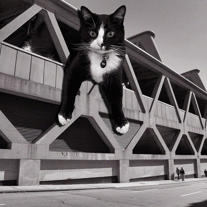 George Washington Bridge Bus Terminal, Pier Luigi Nervi, 1963, New York City, New York