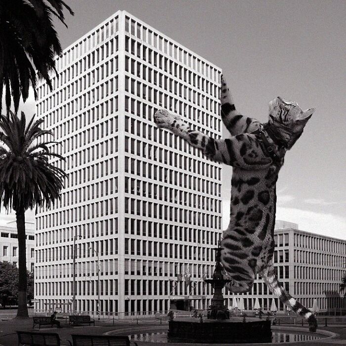 Tate Government Offices, Buchan Laird And Bawden, 1978, Melbourne, Australia