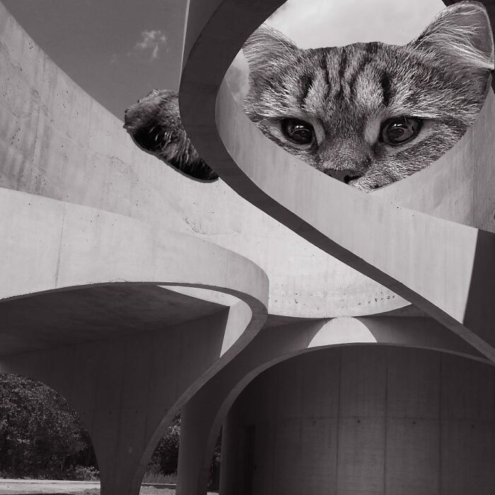 Labovo Pavilion, Van Belle And Medina, 2019, Genk, Belgium