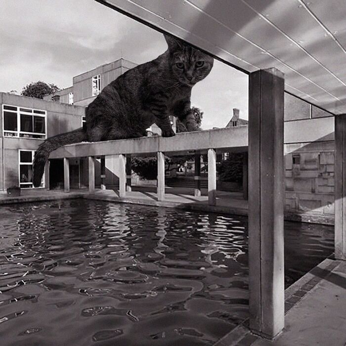 Derwent College And Heslington Hall, University Of York, Robert Matthew Johnson-Marshall And Partners, 1968, University Of York, United Kingdom