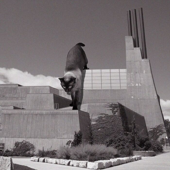 Andrews Building, University Of Toronto Utsc, John Andrews, 1967, Scarborough, Toronto