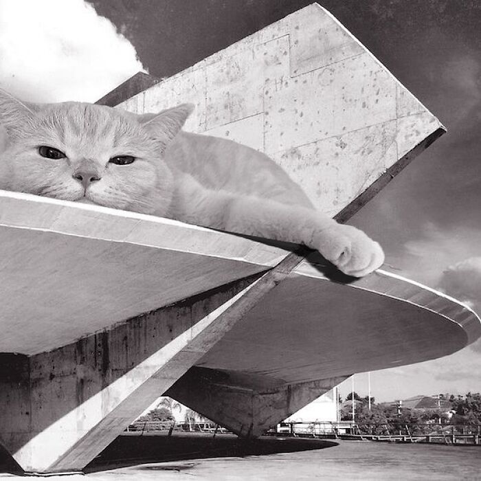 Clube Atlético Paulistano Gymnasium, Paulo Mendes Da Rocha, 1961, Sao Paulo, Brazil