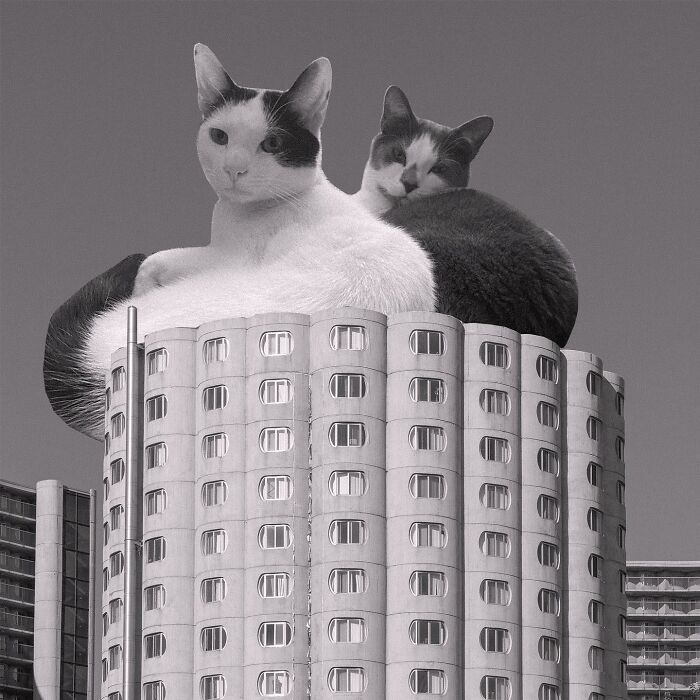 Hilliard Towers Apartments, Bertrand Goldberg, 1966, Chicago, Illinois