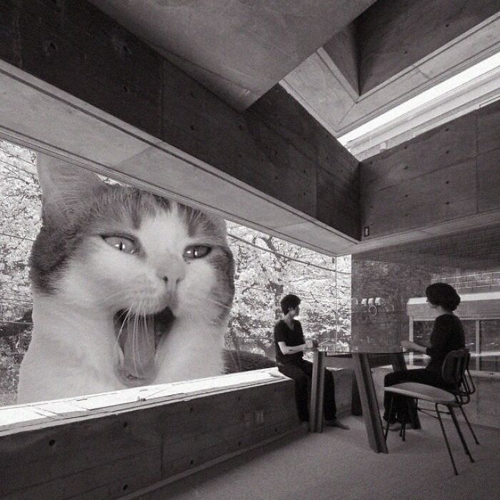 Oriel Window House, Shinsuki Fuji Architects, 2015, Yokohama, Japan