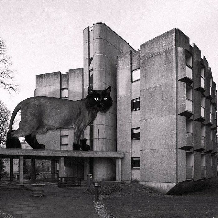 Wolfson And Rayne Building 2, St. Anne's College, Oxford University, Howell Killick Partridge And Amis, 1964, Oxford, England