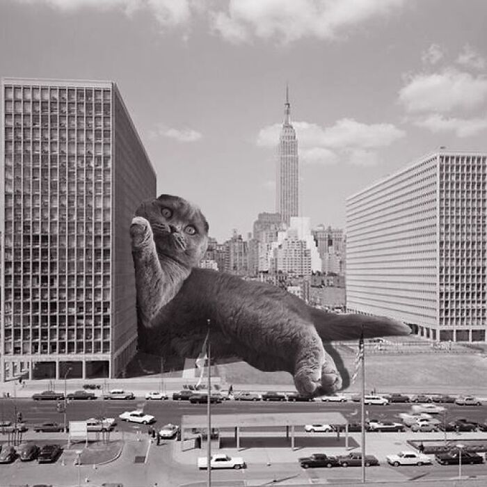 Kips Bay Towers, I.m. Pei, 1965, New York, New York