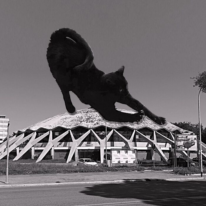 Palazzeto Dello Sport, Pier Luigi Nervi, 1957, Rome, Italy
