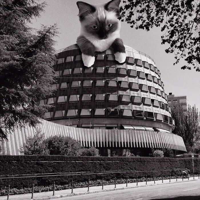 Constitutional Court Of Spain, Antonio Bonet And Francisco G. Valdés, 1981, Madrid, Spain