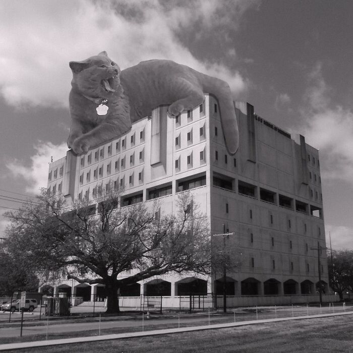 School Of Dentistry, Louisiana State University, August Perez And Associates, 1968, New Orleans, Louisiana