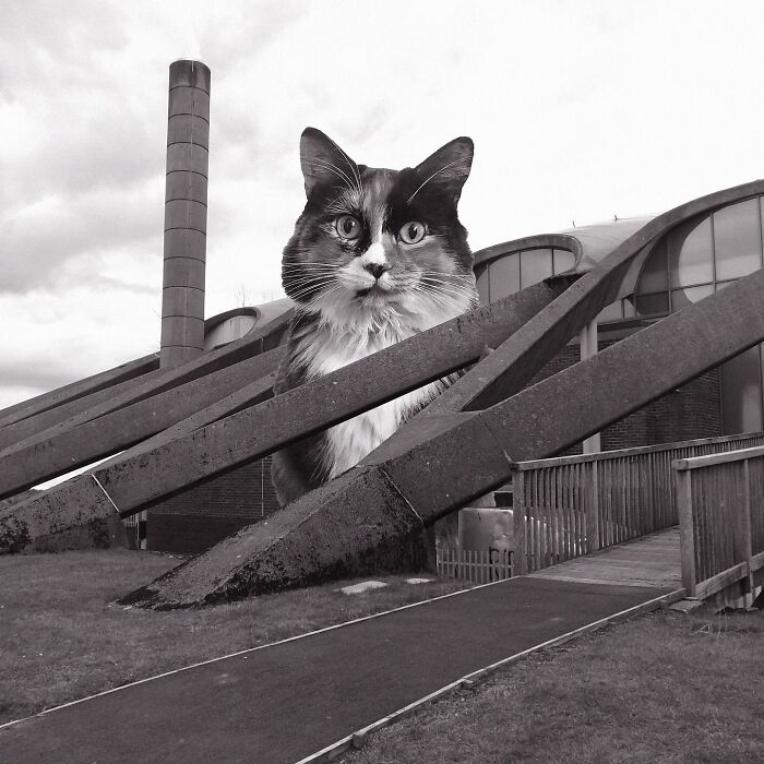 Dollan Aqua Centre, Alexander Buchanan Campbell, 1968, Glasgow, Scotland