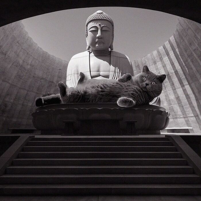 Makomanai Takino Cemetery, Tadao Ando, 2015, Sapporo, Japan