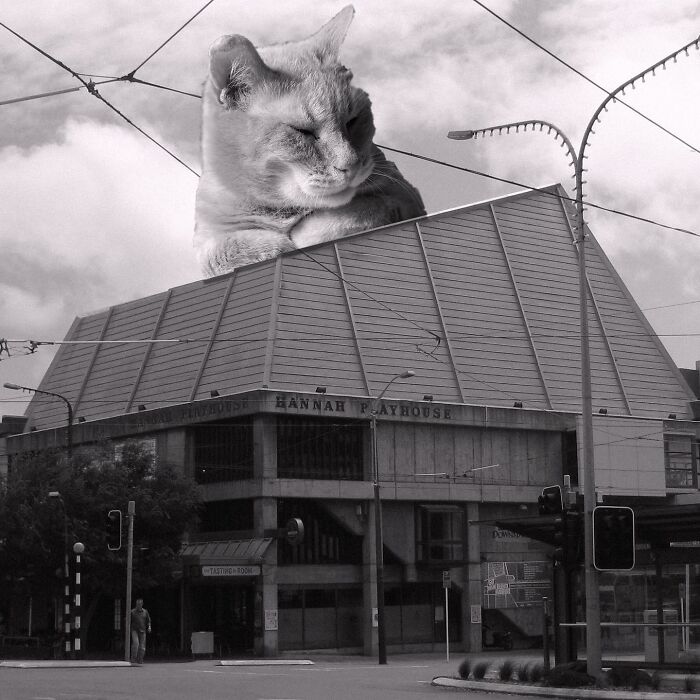 Downstage Theatre, James Beard, 1973, Wellington, New Zealand