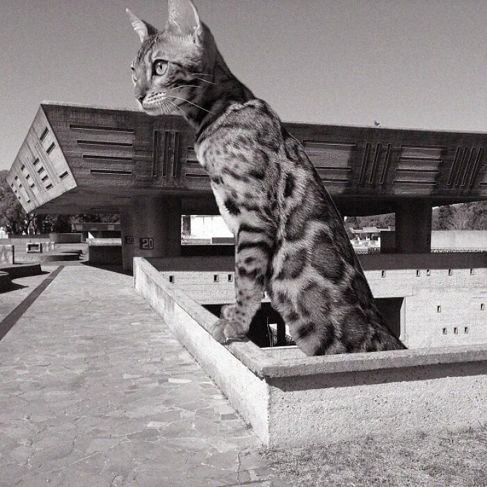 Chacarita Cemetery, Clorindo Testa, 1958, Bueno Aires, Argentina