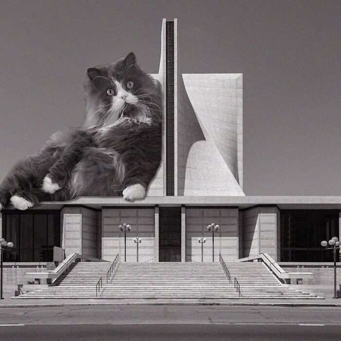 Cathedral Of Saint Mary Of The Assumption, John Michael Lee, Paul A. Ryan, Angus Mcsweeney, Pier Luigi Nervi, And Pietro Belluschi, 1971, San Francisco, California, USA