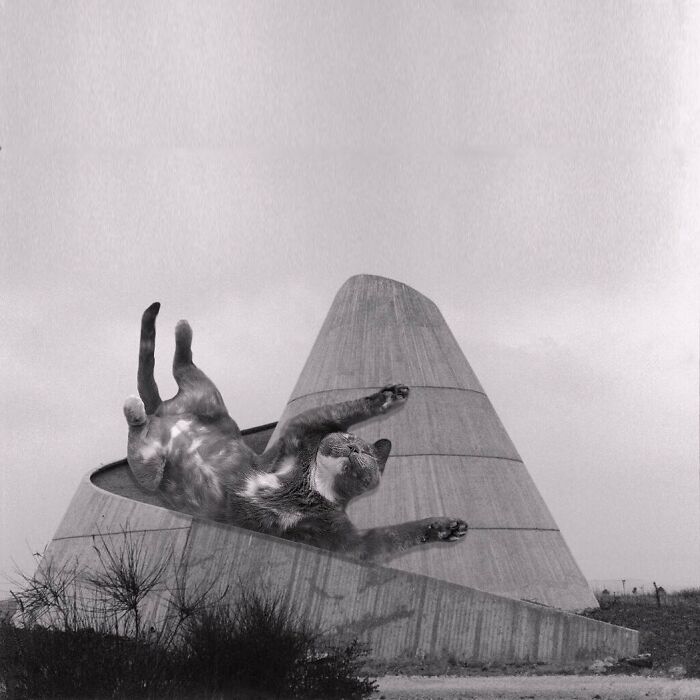 Moshav Yonatan Cultural Center, Zvi Mosesko, Yonatan, Golan Heights, Israel