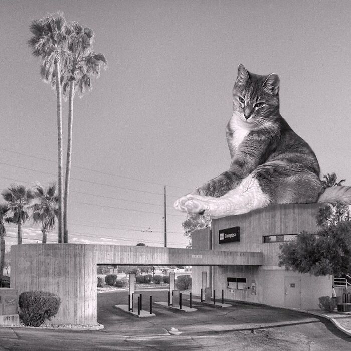 Tucson Union Bank, Ivan Sarkiss And Associates, 1972, Tucson, Arizona