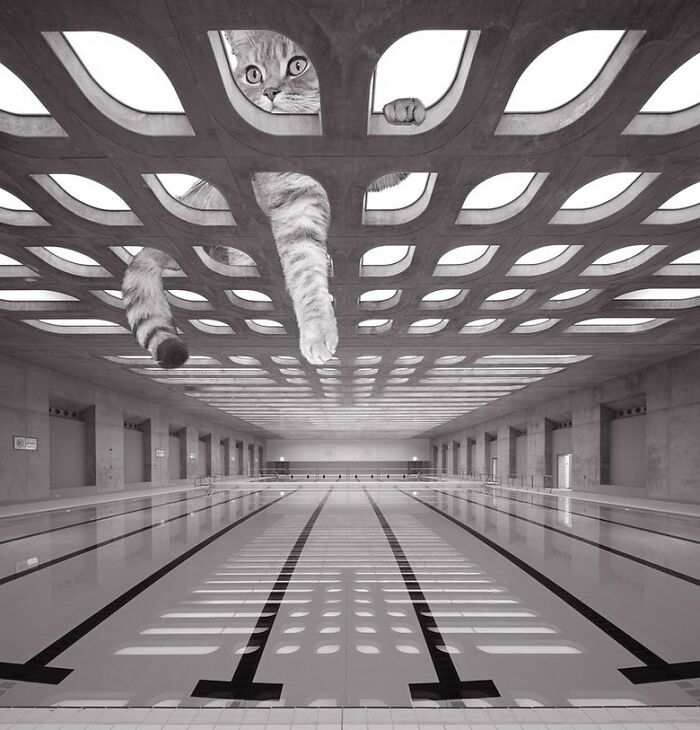 London Aquatics Centre For 2012 Summer Olympics, Zaha Hadid, 2011, London, United Kingdom