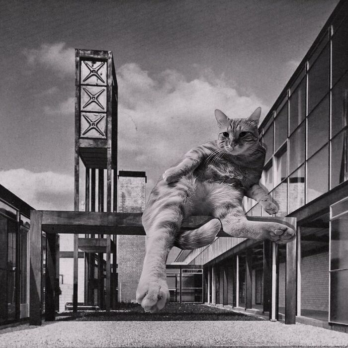 Hunstanton Secondary School, Alison And Peter Smithson, 1955, Hunstanton, United Kingdom