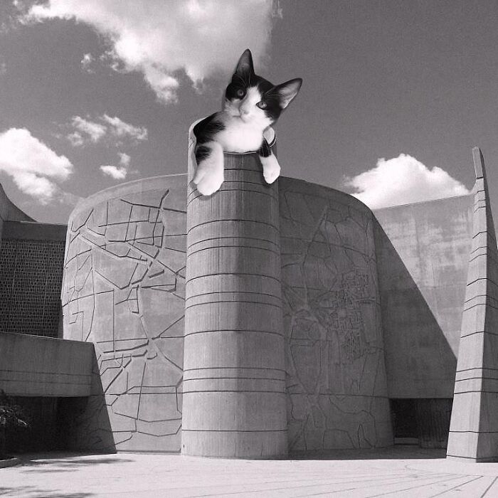 House Of The Book, American Jewish University-Brandeis Bardin Campus, Sidney Eisenshtat, 1973, Simi Valley, California