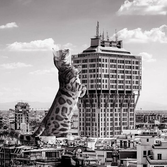 Torres Velasca, Bbpr, 1957, Milan, Italy