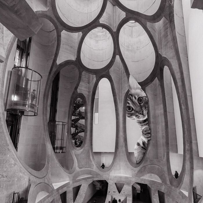 Zeitz Mocaa, Thomas Heatherwick, 2017, Cape Town, South Africa