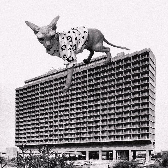 Tel Aviv Hilton Hotel, Yaakov Rechter, 1965, Tel Aviv, Israel