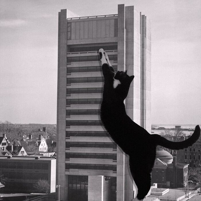 Science Library, Brown University, Warner, Burns, Toan And Lunde, 1971, Providence, Rhode Island