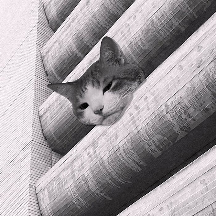 The Royal Women's Hospital Car Park, Mockridge, Stahle And Mitchell, 1974, Melbourne, Australia