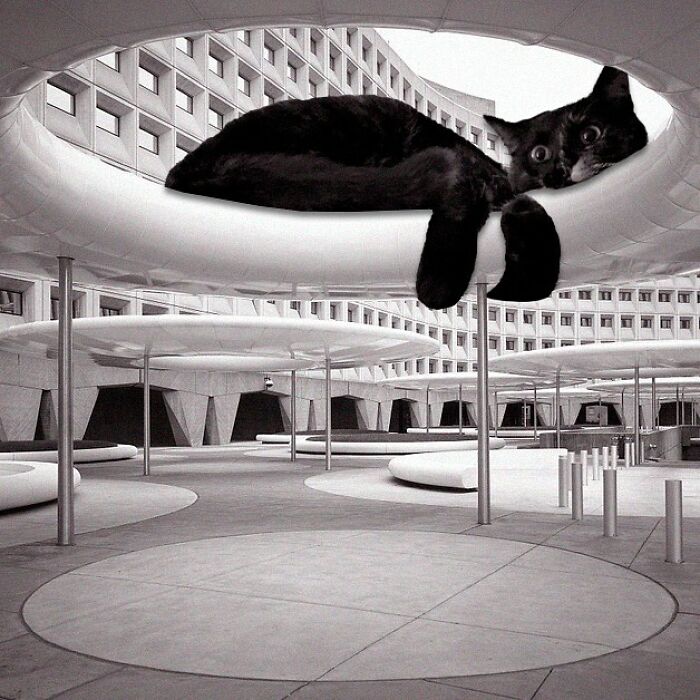 Robert C. Weaver Federal Building, Marcel Breuer, 1965, Washington, D.c