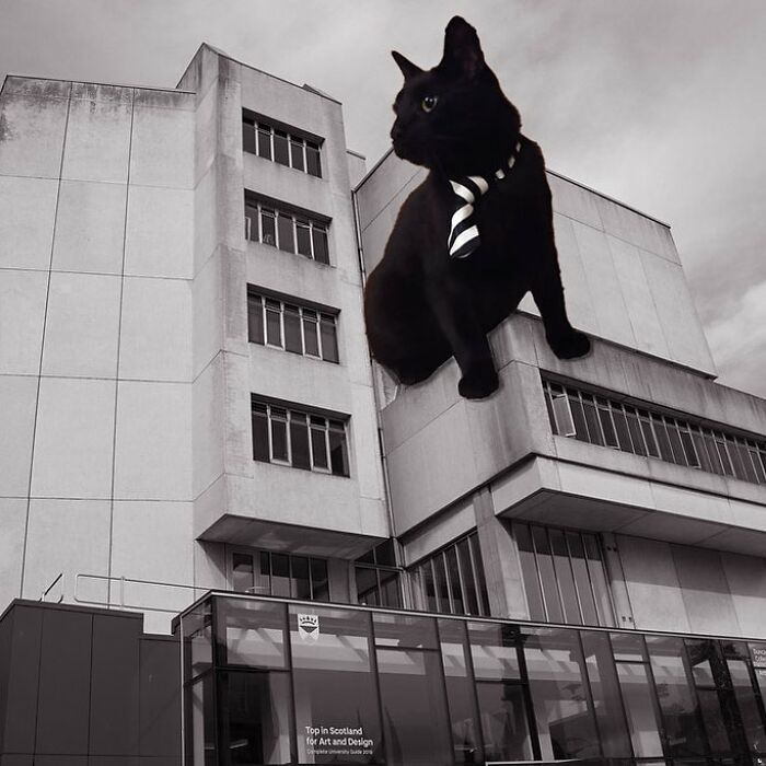 Matthew Building, University Of Dundee, James Paul, Of Baxter Clark And Paul, 1974, Dundee, Scotland, UK