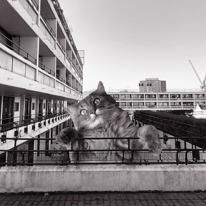 Maiden Lane Estate, Benson And Forsyth, 1982, Camden, London, UK