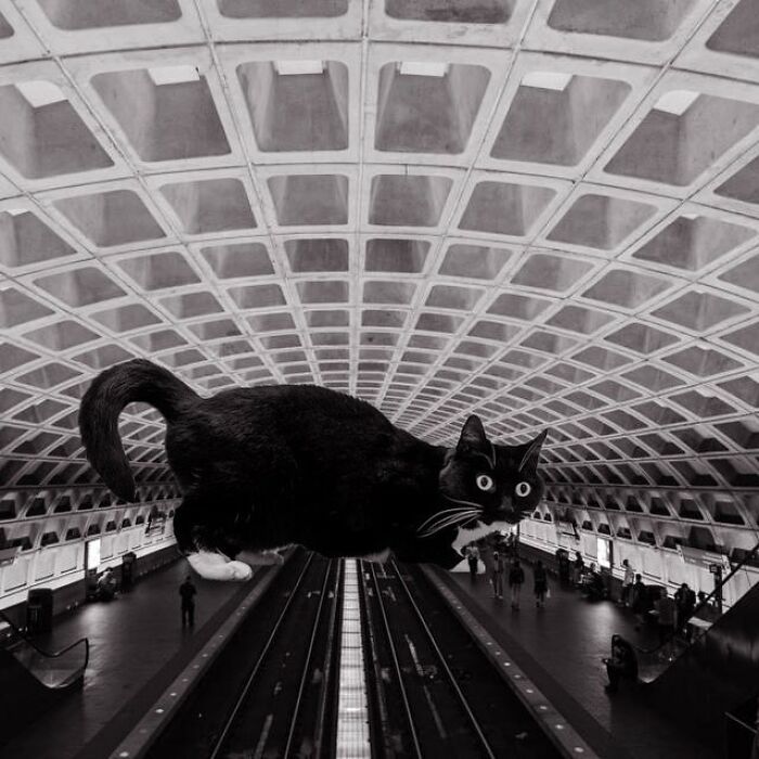 U.S. Capital’s Metro Station, Harry Weese, 1970, Washington, D.c