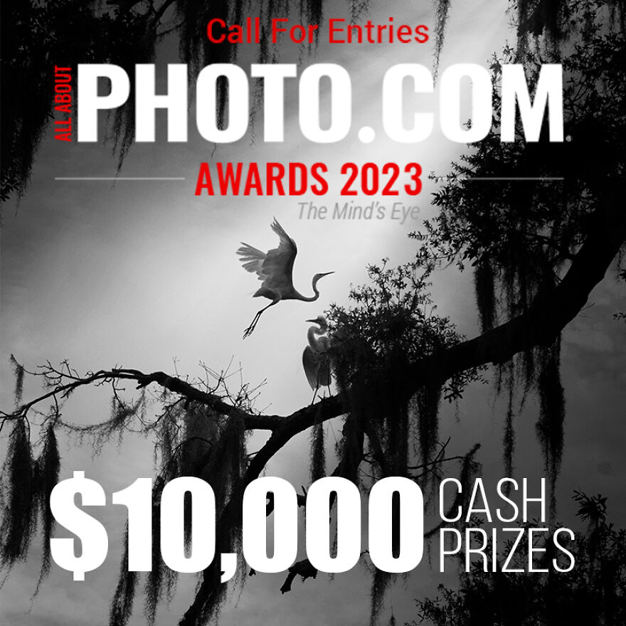 Last Chance To Win $10,000 Cash Prizes Last Chance To Win $10,000 Cash Prizes
