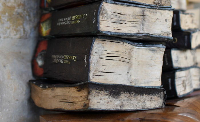 40 Annoying Literary Moments That Drive Readers Up The Wall: As Shared By The Bored Panda Community