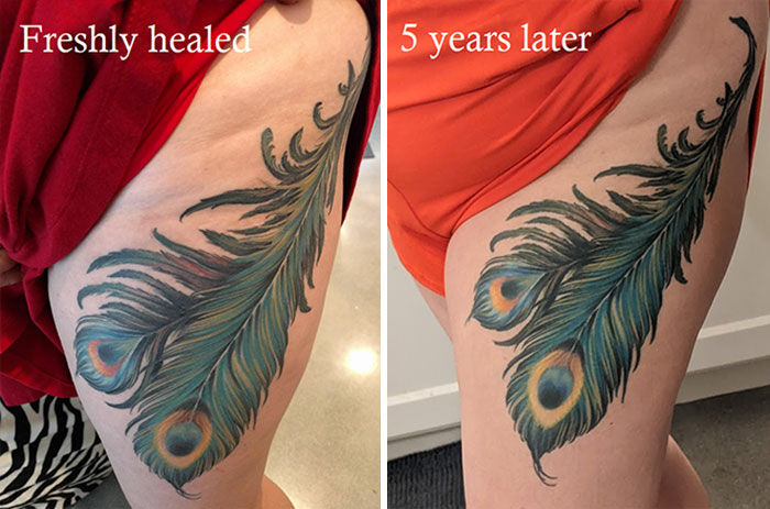 Peacock feather tattoo on thigh, freshly healed versus 5 years later, showing changes over time.
