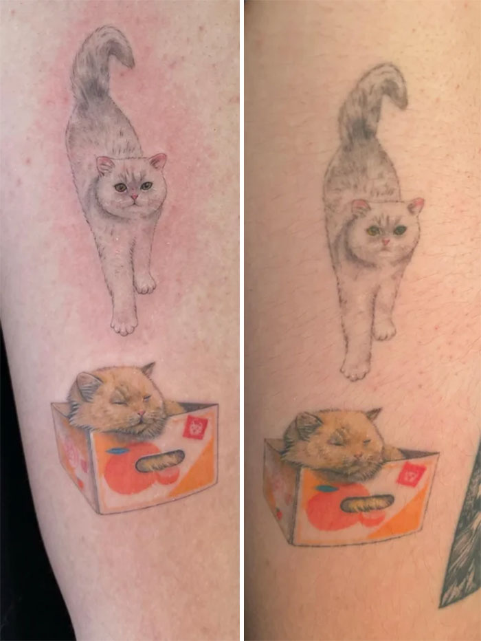Aged tattoos showing ink changes over years; cat walking above a kitten in a box, before and after comparison.