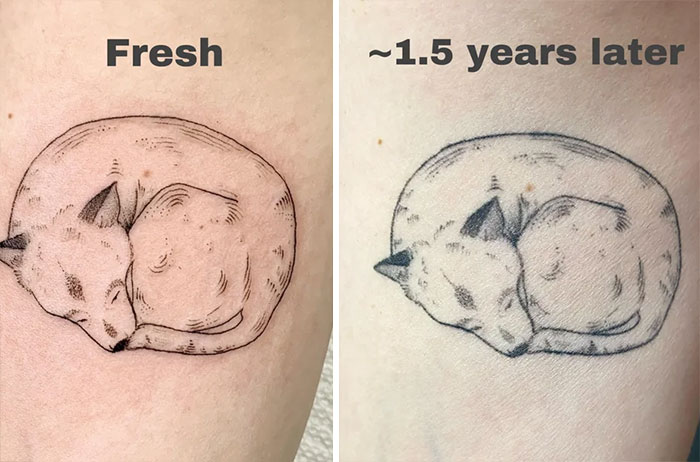 Aged tattoos showing ink fading over 1.5 years in a sleeping fox design.