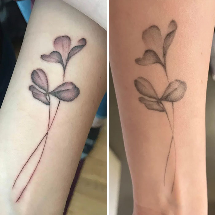 Aged tattoos showing fading over time, side-by-side comparison of floral designs on skin.