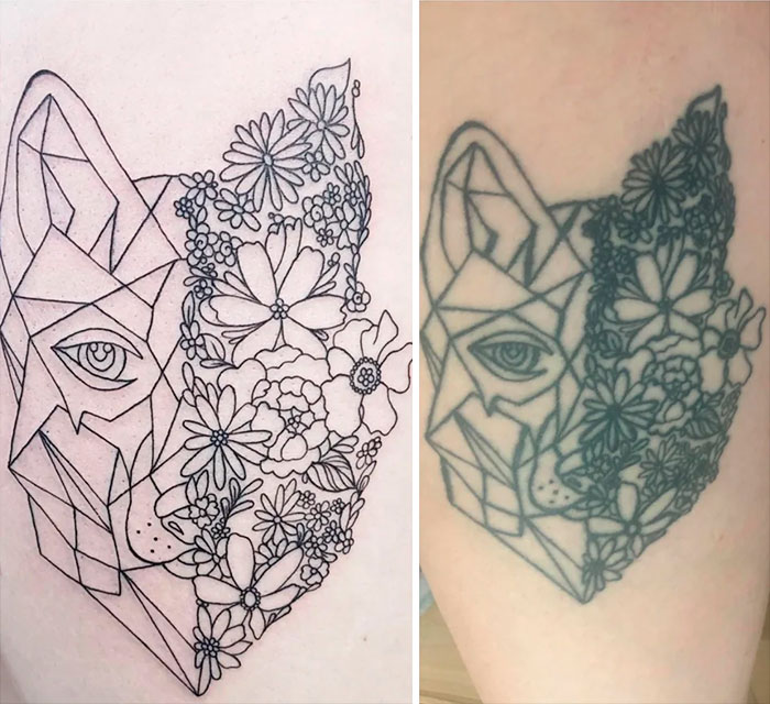 Aged tattoos showing ink changes over time with floral wolf design, left side fresh, right side faded.