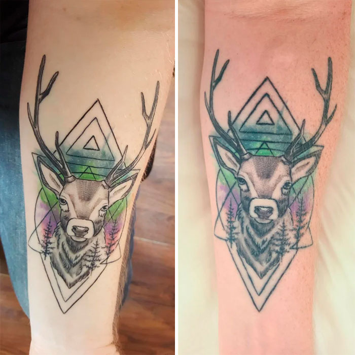 Aged tattoos of a deer on arm, showing changes over time in ink vibrancy and detail.
