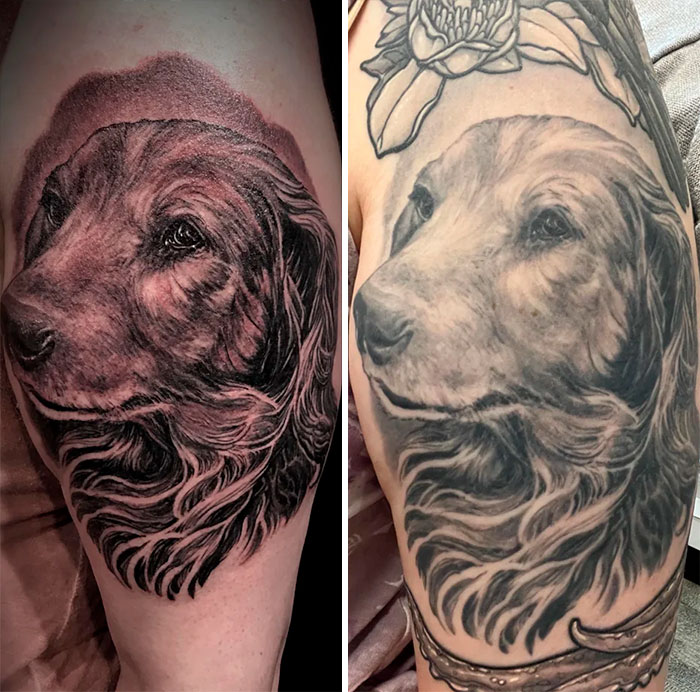 Aged tattoos of a dog show fading and detail changes over time, highlighting tattoo transformation.