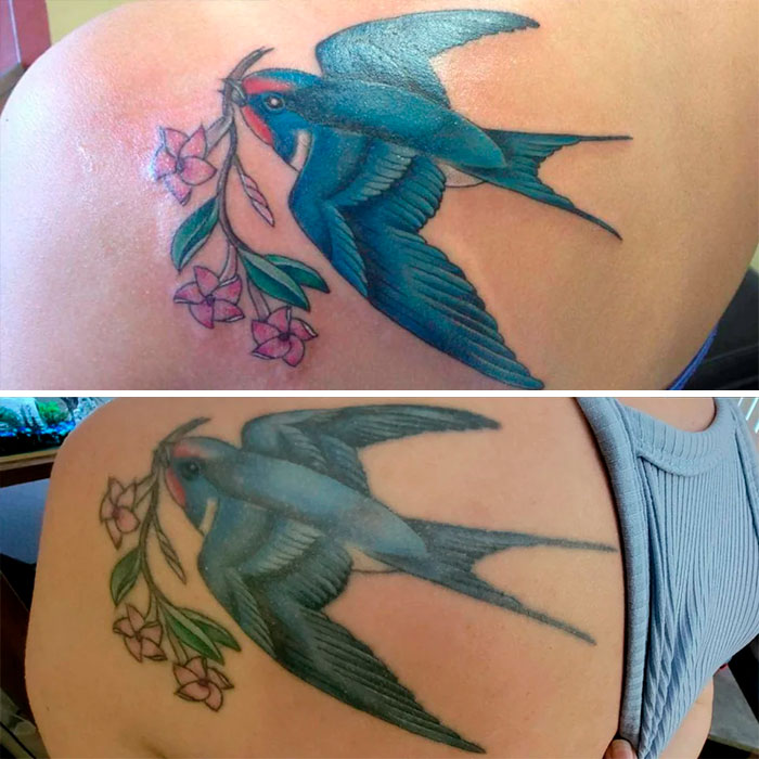Aged tattoo of a blue bird with pink flowers shows ink fading over time on the shoulder.